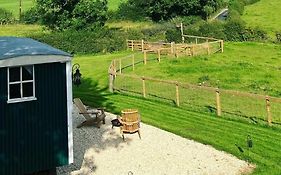 Peggy'S Hut